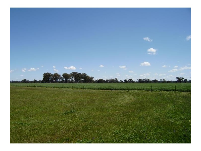 Rutherglen VIC 3685