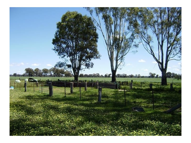 Rutherglen VIC 3685