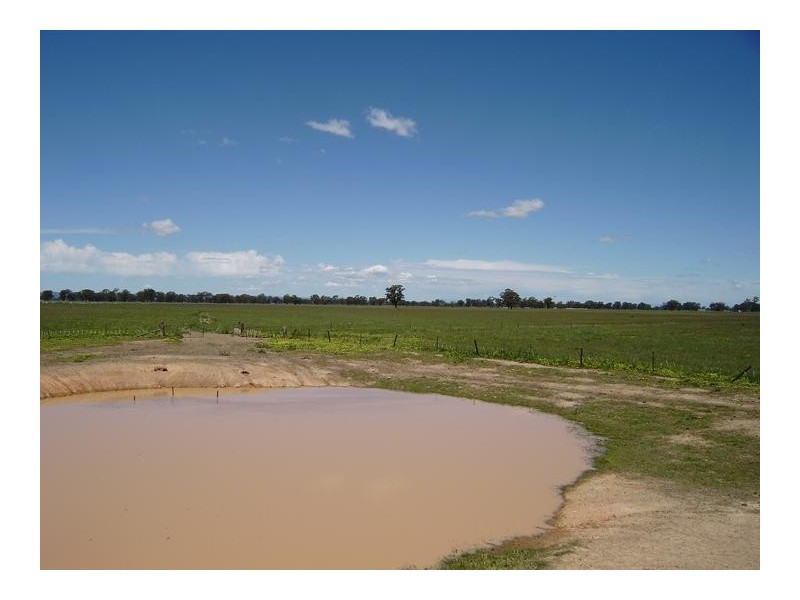 Rutherglen VIC 3685