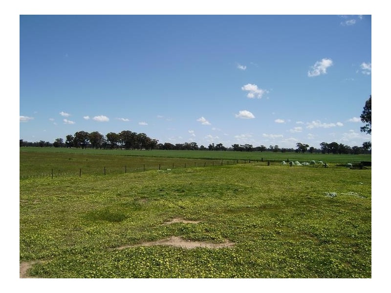 Rutherglen VIC 3685