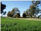 Wangaratta VIC 3677