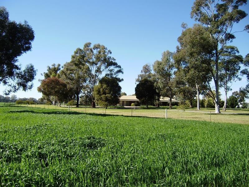 Wangaratta VIC 3677