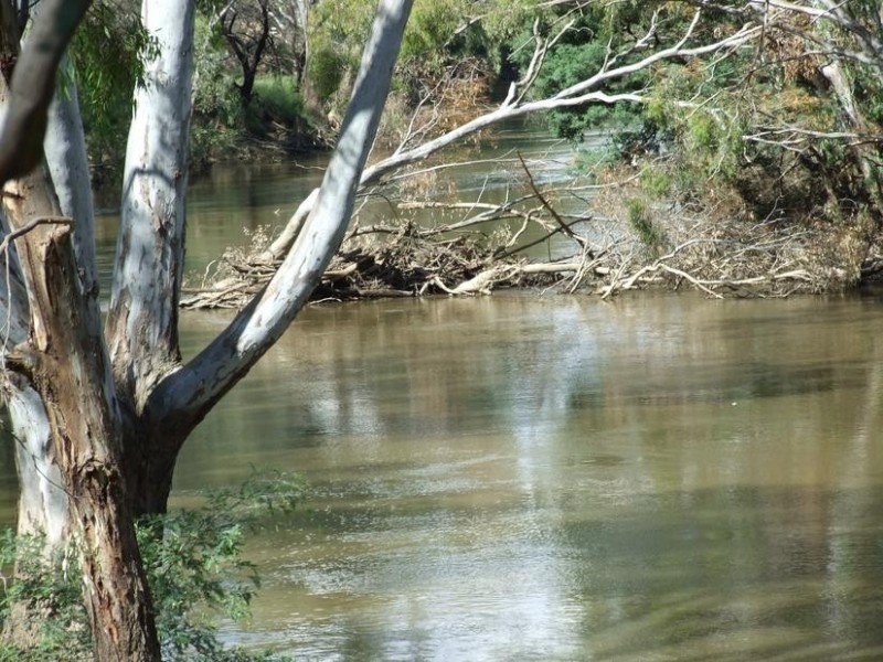 1118 Yarrawonga Road, Killawarra VIC 3678