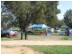 Wangaratta VIC 3677