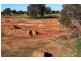 Wangaratta VIC 3677