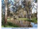 Wangaratta VIC 3677