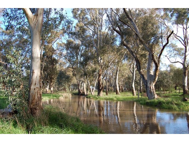 Wangaratta VIC 3677