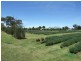 Wangaratta VIC 3677