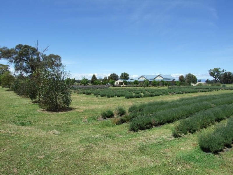 Wangaratta VIC 3677