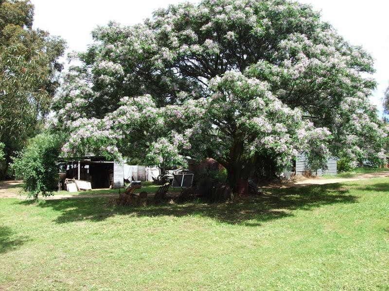 1118 Yarrawonga Road, Wangaratta VIC 3677