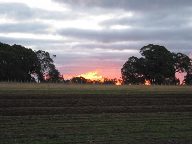 Whitlands VIC 3733