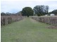 Whitfield VIC 3733