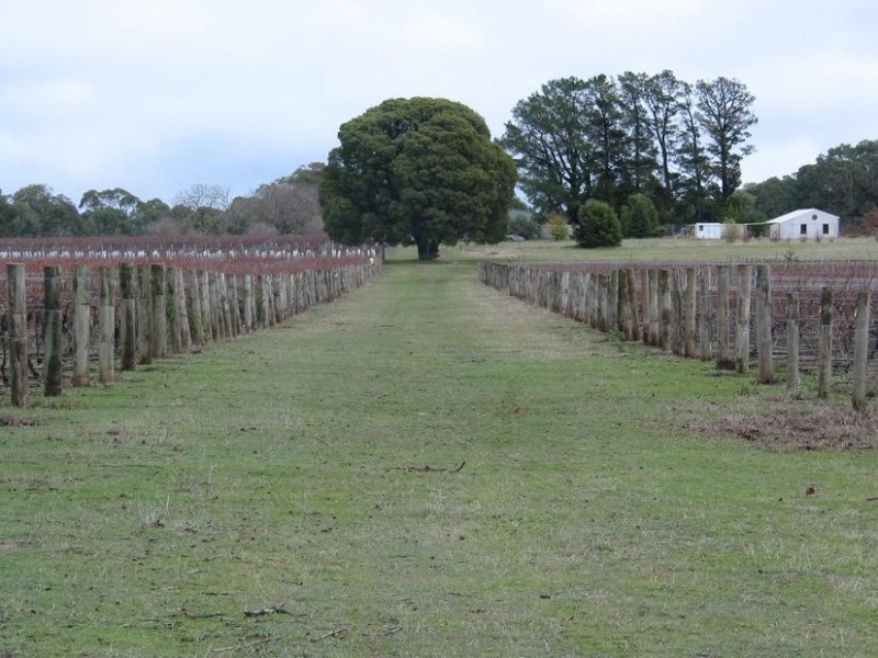 Whitfield VIC 3733