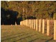 Whitfield VIC 3733