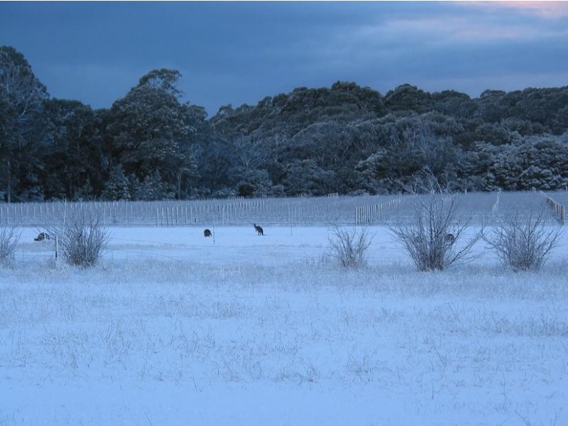 Whitfield VIC 3733