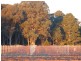 Whitfield VIC 3733