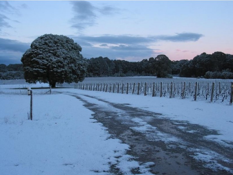 Whitfield VIC 3733