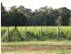 Whitfield VIC 3733