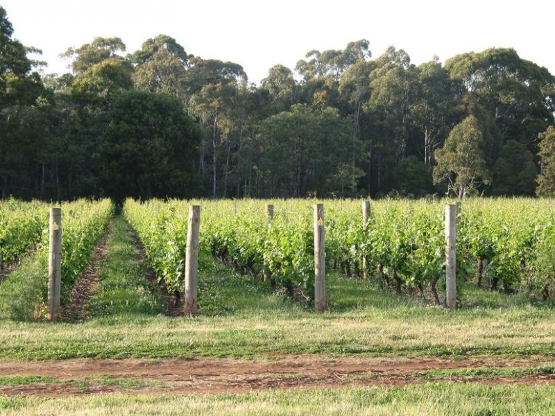Whitfield VIC 3733