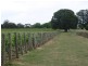 Whitfield VIC 3733