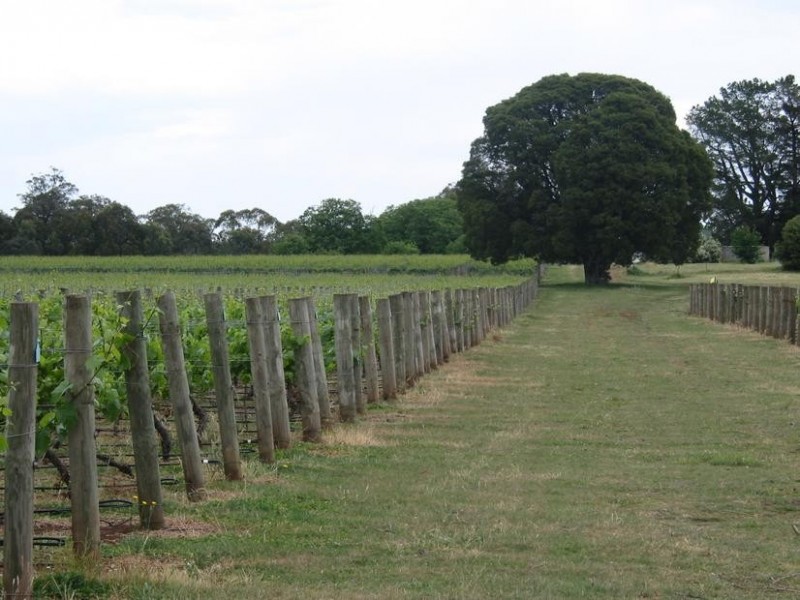 Whitfield VIC 3733