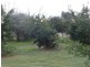 Tarrawingee VIC 3678