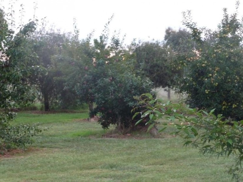 Tarrawingee VIC 3678