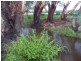 Tarrawingee VIC 3678