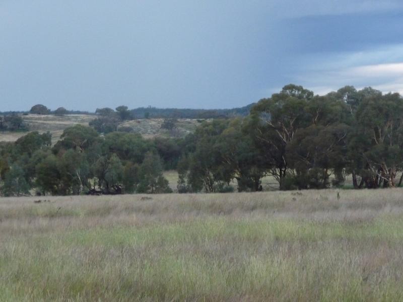 Wangaratta VIC 3677
