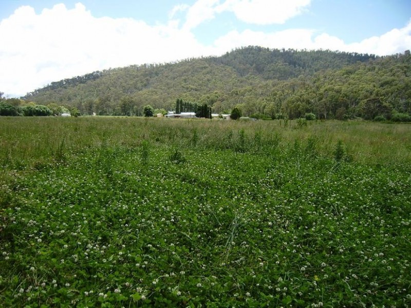 284 Burrowes Road, Whitfield VIC 3733