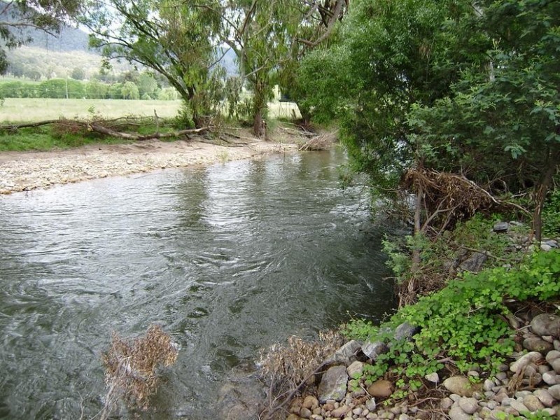 284 Burrowes Road, Whitfield VIC 3733