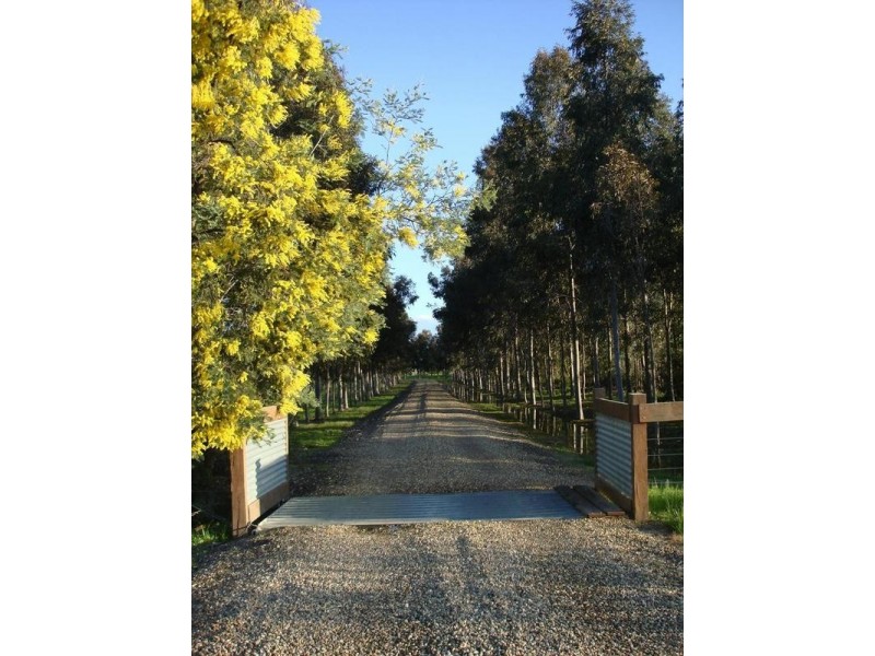 108 MEADOW CREEK ROAD, Moyhu VIC 3732