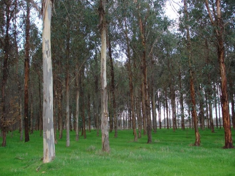 107 MEADOW CREEK ROAD, Moyhu VIC 3732