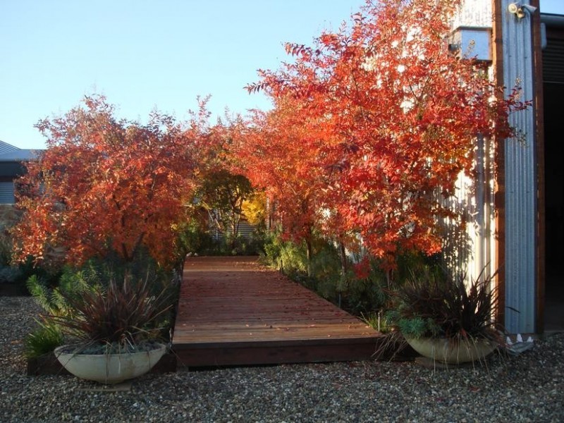 108 MEADOW CREEK ROAD, King Valley VIC 3678