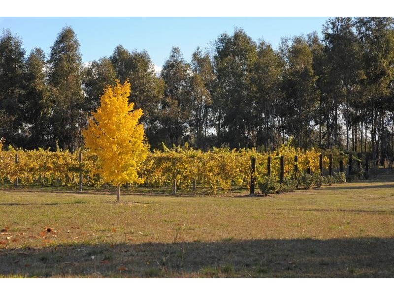 108 MEADOW CREEK ROAD, King Valley VIC 3678