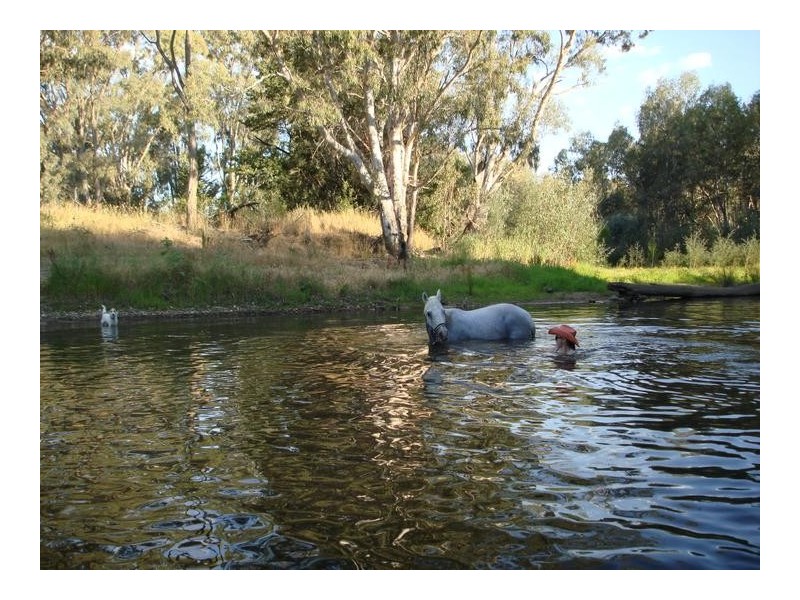 108 MEADOW CREEK ROAD, King Valley VIC 3678