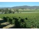 King Valley VIC 3678
