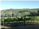 King Valley VIC 3678
