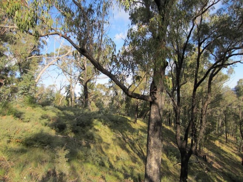 King Valley VIC 3678