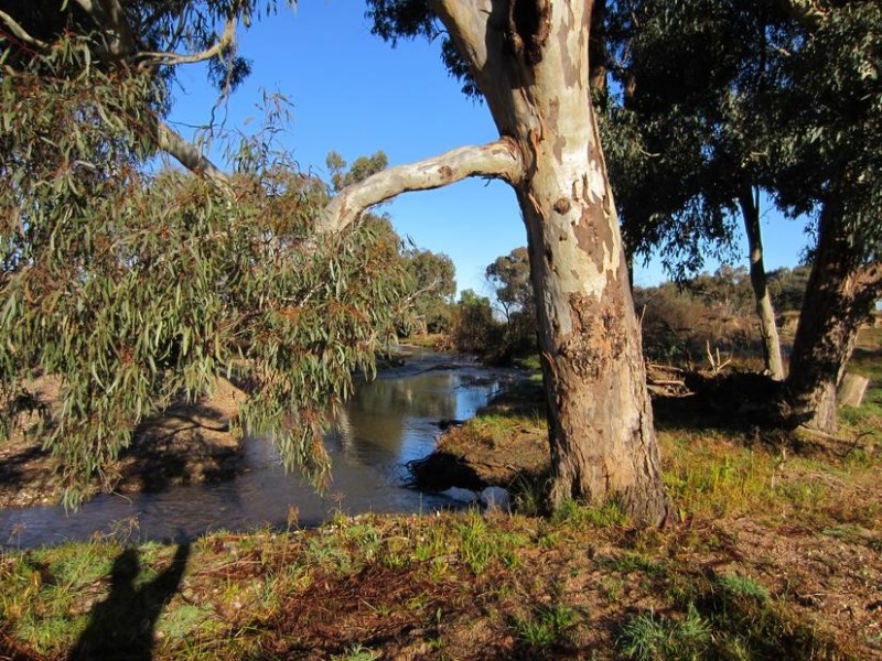 Tarrawingee VIC 3678