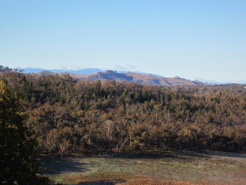 Everton Upper VIC 3678