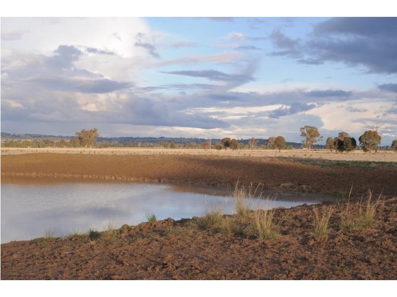 Rutherglen VIC 3685