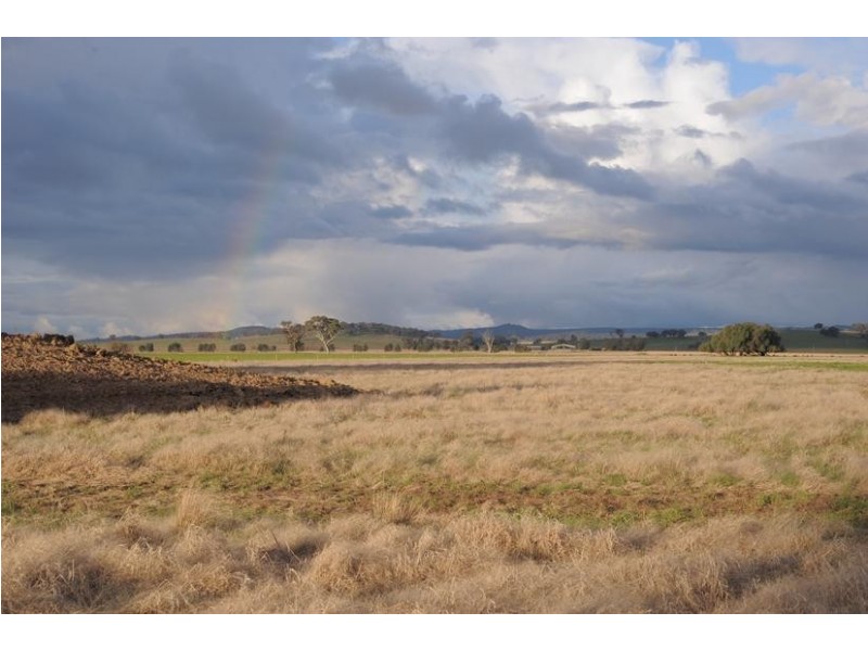 Rutherglen VIC 3685