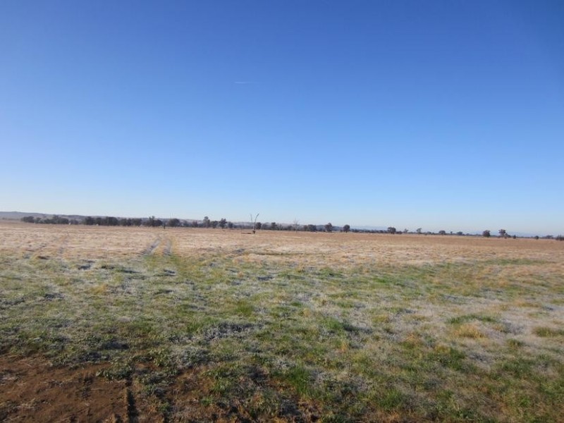 Rutherglen VIC 3685