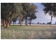 Rutherglen VIC 3685