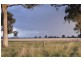 Rutherglen VIC 3685