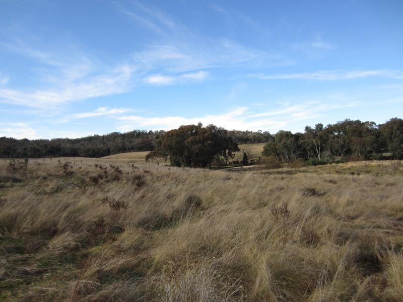 Tarrawingee VIC 3678