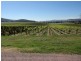 King Valley VIC 3678