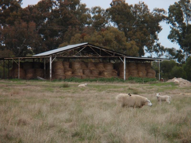 Springhurst VIC 3682