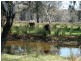 123 Nankervis Lane, Oxley VIC 3678
